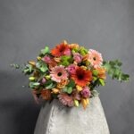 Our best-selling "Harmony Blooms Bouquet" is a delightful symphony of colors. This popular arrangement features enchanting orange roses, cheerful orange gerberas, and striking orange lilies. The contrasting green sprays add a touch of elegance and balance to the composition. Let this bouquet serenade your loved ones with its warm and vibrant hues.