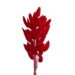 Bunny Tails Red