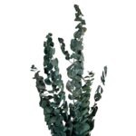Designer Green 10 stems - Image 3