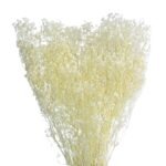 Gyp Fine 100g - Image 2