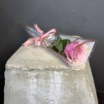 Single Pink Rose