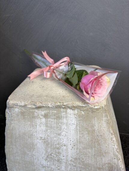 Single Pink Rose